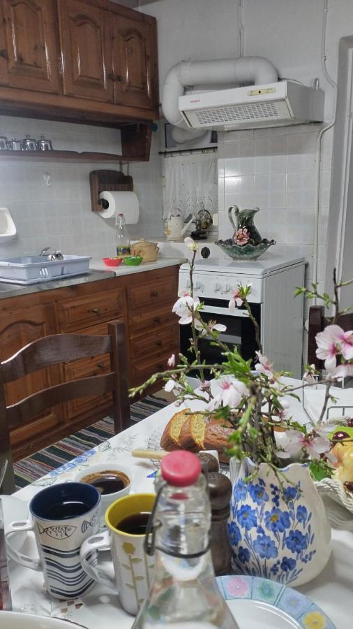 Vaggelitsa'S House Villa ปีตาโกเรโย ภายนอก รูปภาพ